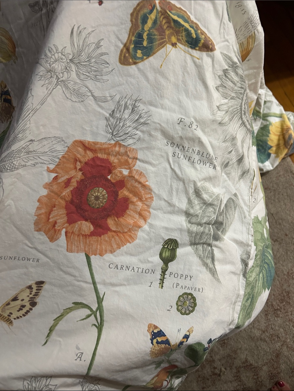 Pottery Barn Cream Sunflower & Wildflower Duvet Cover - Picture 5 of 7